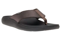 ABEO Alpha- Medium | Active