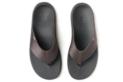 ABEO Alpha- Medium | Active