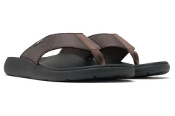 ABEO Alpha- Medium | Active