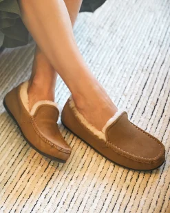 ABEO Amble Slipper-Women Standard | Slippers