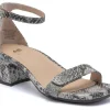 ABEO Avenue Strap-Women Standard | Education