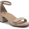 ABEO Avenue Strap Metatarsal-Women Standard | Education