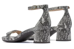 ABEO Avenue Strap Metatarsal-Women Standard | Education