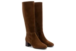 ABEO Avenue Tall-Women Standard | Education