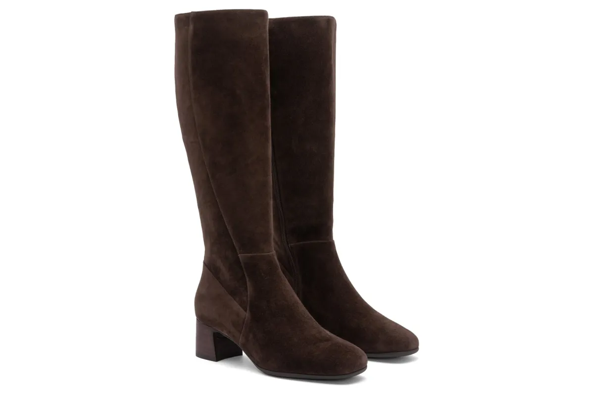 ABEO Avenue Tall Metatarsal-Women Standard | Education