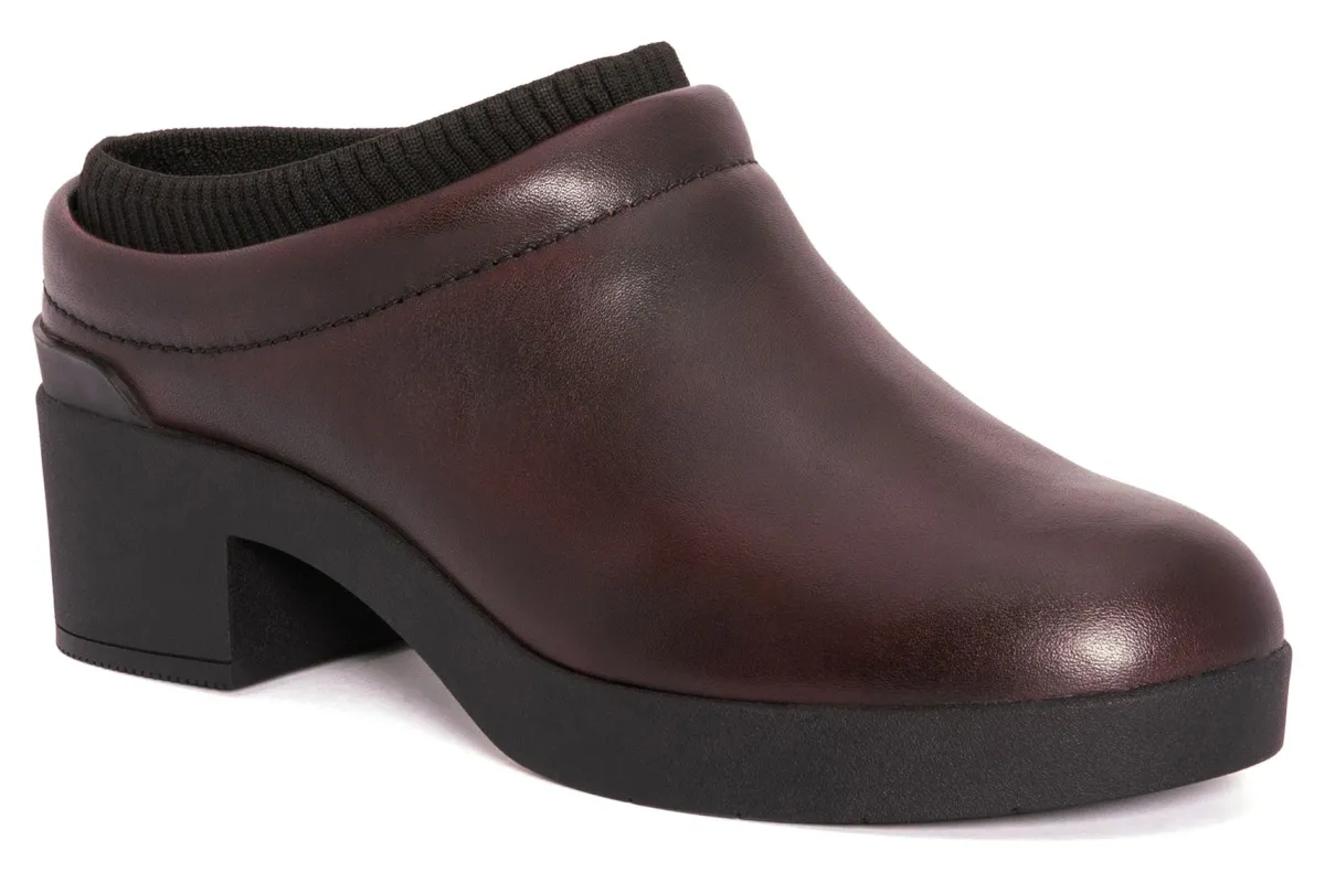 ABEO Capital Clog-Women Standard | Education