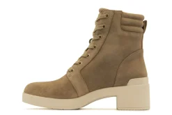 ABEO Capital Lace-Women Standard | Education