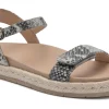 ABEO Isle Strap-Women Standard | Education