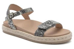 ABEO Isle Strap-Women Standard | Education