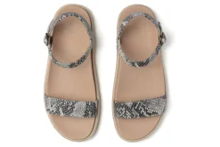 ABEO Isle Strap-Women Standard | Education