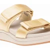 ABEO Jewel Metatarsal-Women Standard | Active