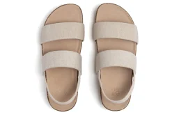 ABEO Lanai Triple-Women Standard | Education