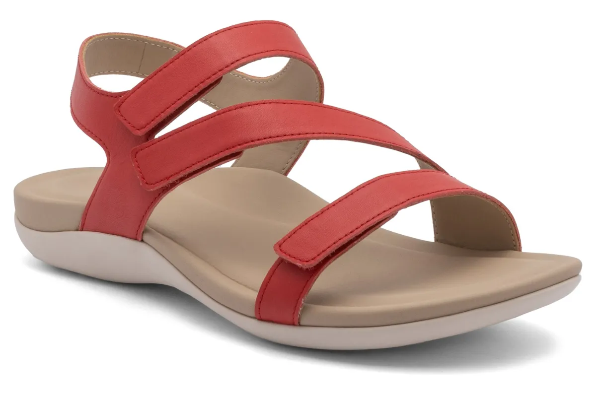 ABEO Oasis Sandal-Women Standard | Education