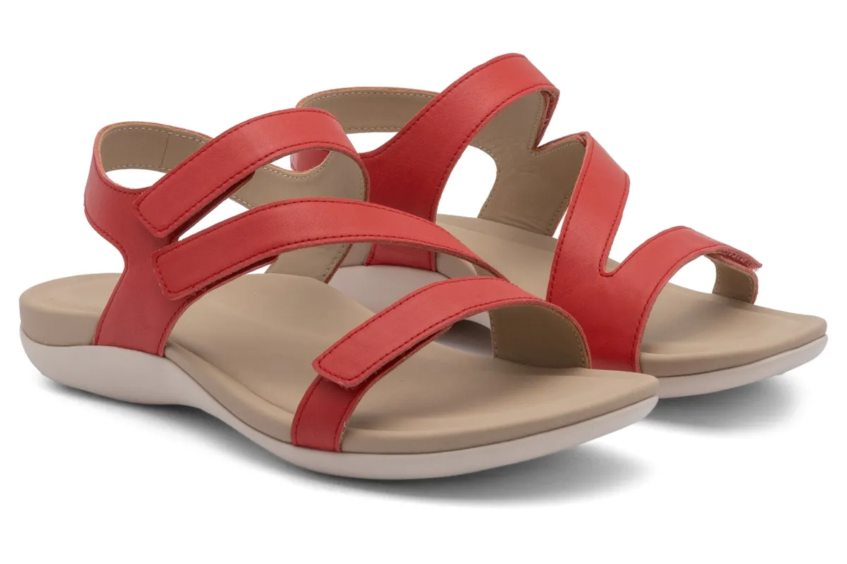 ABEO Oasis Sandal-Women Standard | Education