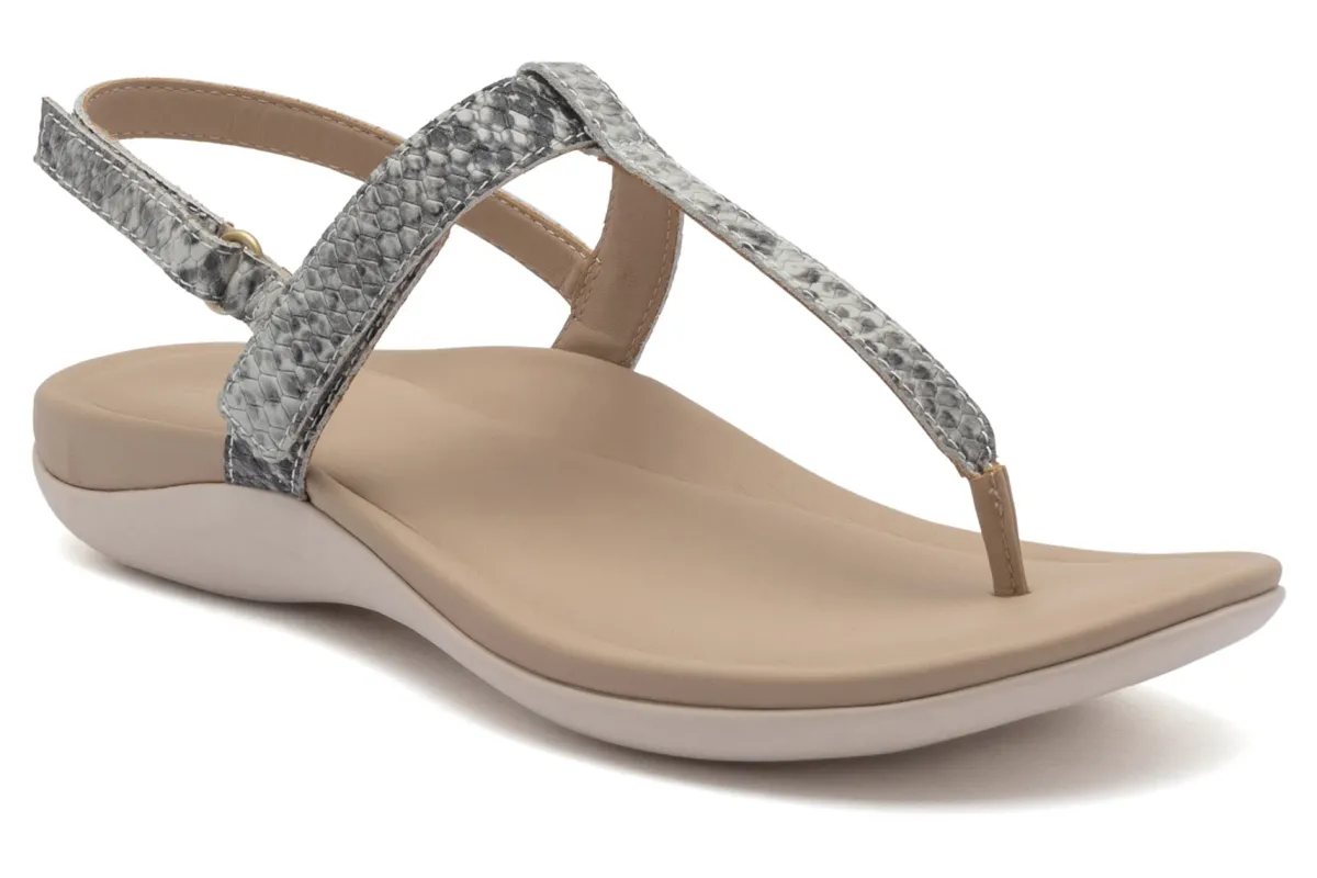 ABEO Oasis T Strap-Women Standard | Education