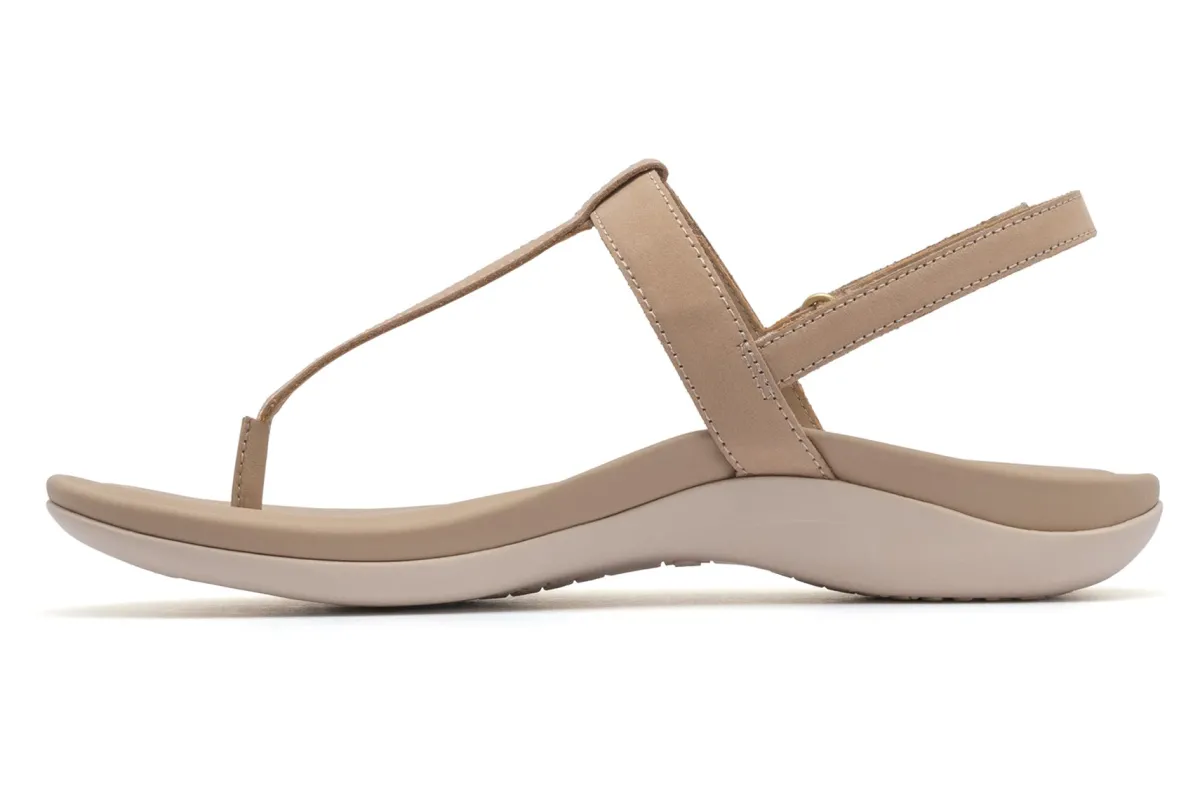 ABEO Oasis T Strap-Women Standard | Education