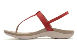 ABEO Oasis T Strap-Women Standard | Education