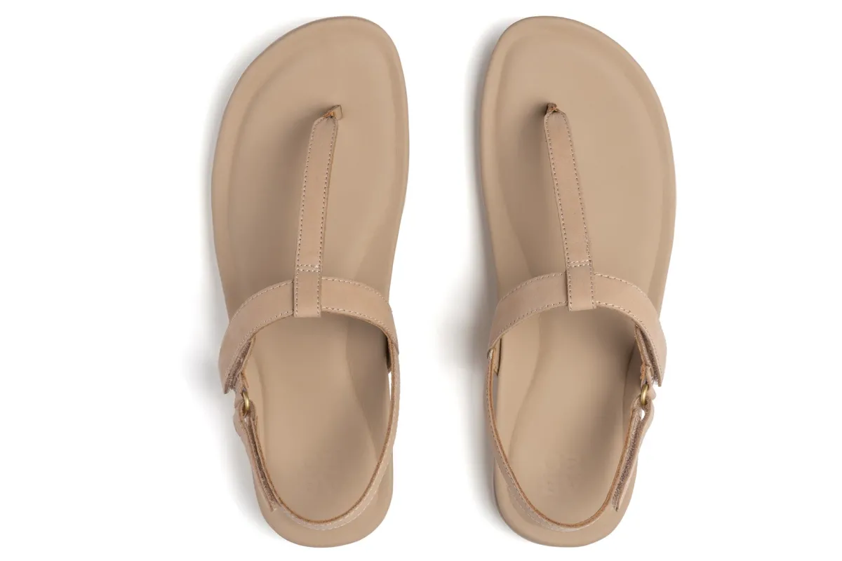 ABEO Oasis T Strap-Women Standard | Education