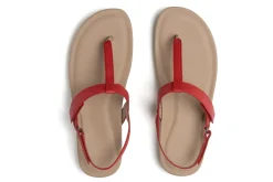 ABEO Oasis T Strap-Women Standard | Education