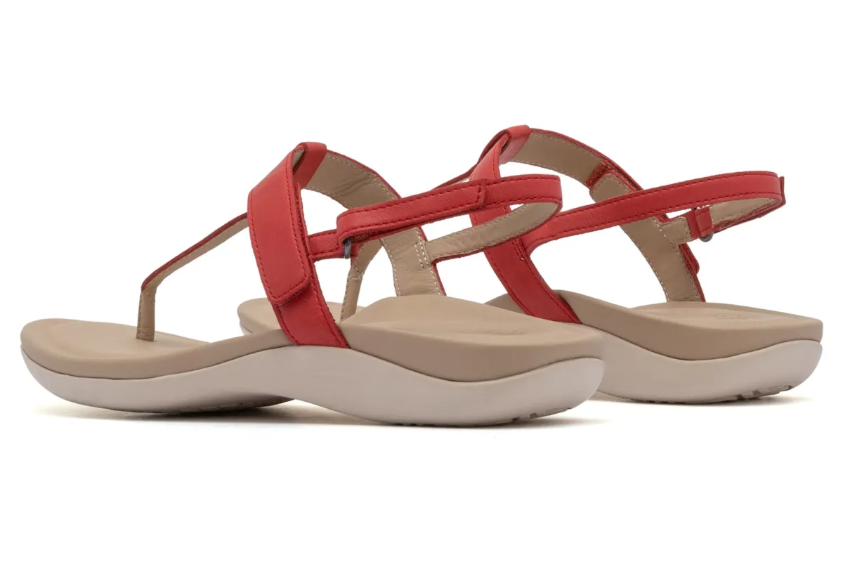 ABEO Oasis T Strap-Women Standard | Education
