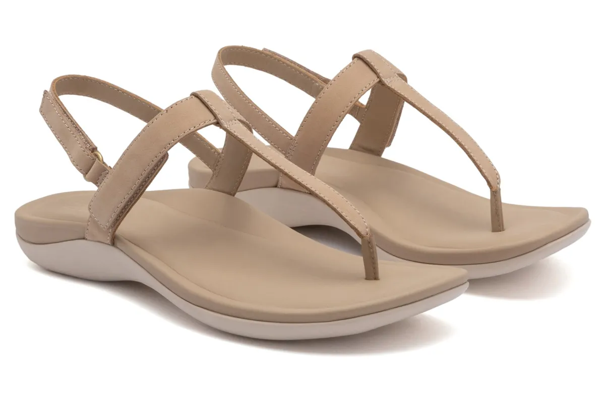 ABEO Oasis T Strap-Women Standard | Education