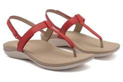 ABEO Oasis T Strap-Women Standard | Education
