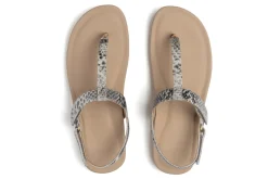 ABEO Oasis T Strap Metatarsal-Women Standard | Education