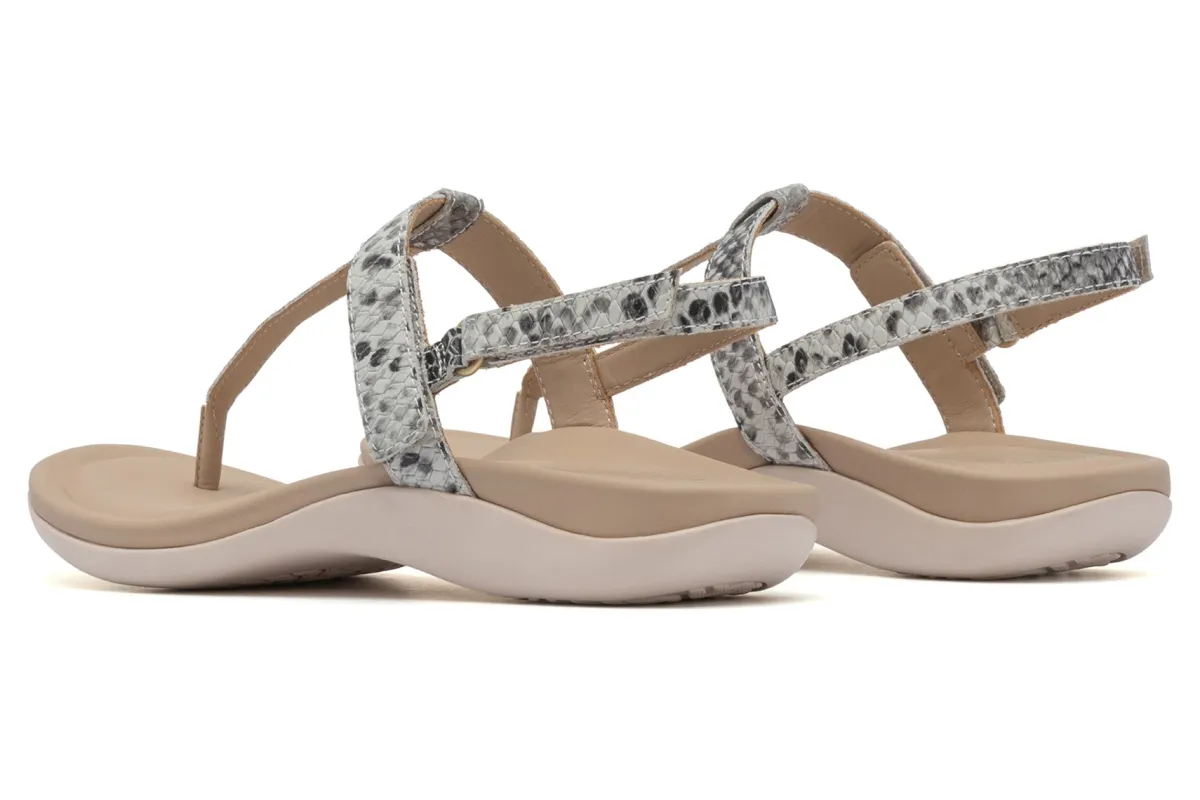 ABEO Oasis T Strap Metatarsal-Women Standard | Education