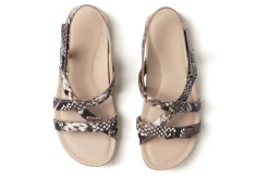 ABEO Ollie Metatarsal-Women Standard