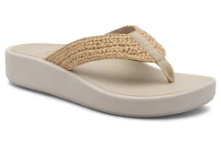 ABEO Paseo Thong Sandal-Women Standard | Education