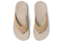 ABEO Paseo Thong Sandal-Women Standard | Education