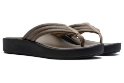 ABEO Paseo Thong Sandal-Women Standard | Education