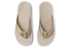 ABEO Paseo Thong Sandal Metatarsal-Women Standard | Education