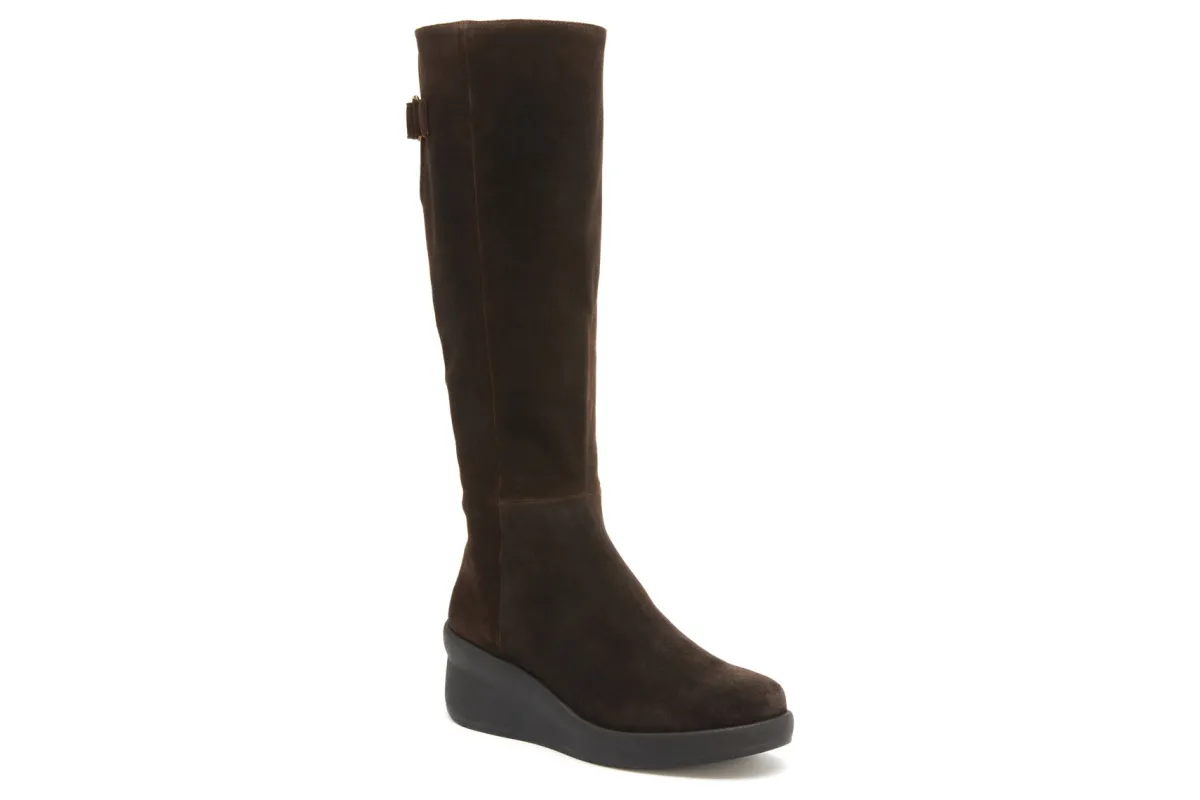 ABEO Passage Tall Metatarsal-Women Standard | Education