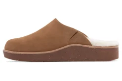 ABEO Pioneer Clog-Women Standard | Education