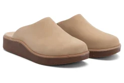 ABEO Pioneer Clog-Women Standard | Education