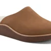 ABEO Pioneer Clog Metatarsal-Women Standard | Education