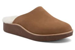 ABEO Pioneer Clog Metatarsal-Women Standard | Education