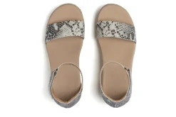 ABEO Riviera Ankle Sandal-Women Standard | Education