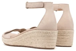 ABEO Riviera Ankle Sandal Metatarsal-Women Standard | Education
