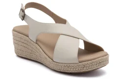 ABEO Riviera Cross-Women Standard | Education
