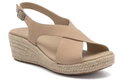 ABEO Riviera Cross-Women Standard | Education