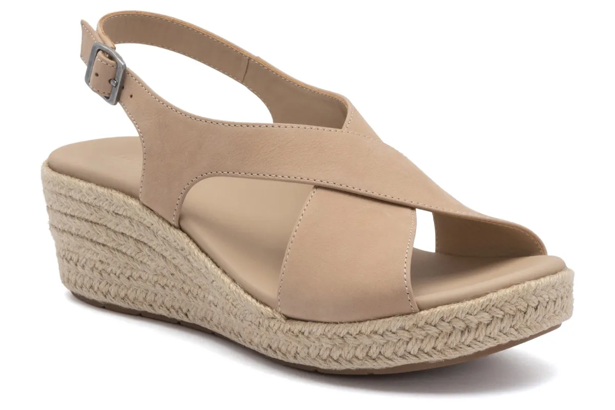 ABEO Riviera Cross-Women Standard | Education