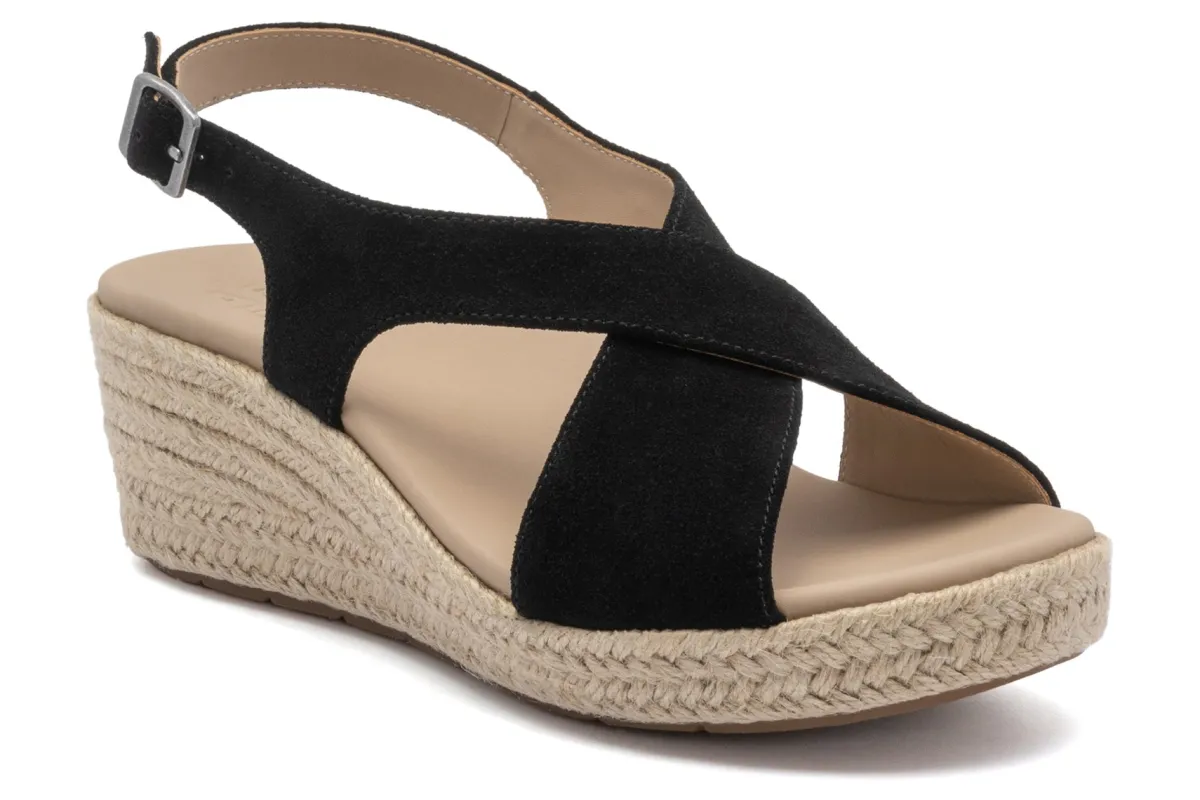 ABEO Riviera Cross-Women Standard | Education