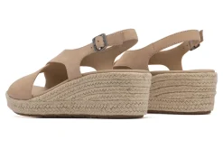 ABEO Riviera Cross-Women Standard | Education