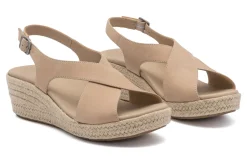 ABEO Riviera Cross-Women Standard | Education