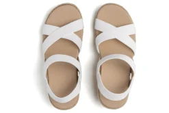 ABEO Riviera Stretch-Women Standard | Education