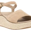 ABEO Solstice Buckle Sandal Metatarsal-Women Standard | Education