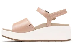 ABEO Solstice Buckle Sandal Metatarsal-Women Education | Office