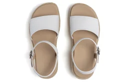 ABEO Solstice Buckle Sandal Metatarsal-Women Standard | Education